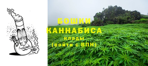 СК Новокубанск