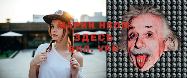 СК Новокубанск