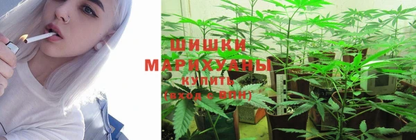 СК Новокубанск