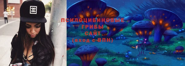 СК Новокубанск