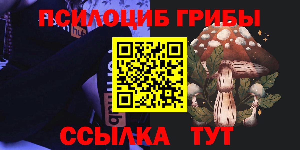 Галлюциногенные грибы Psilocybe  Вход с VPN  Семилуки  Галлюциногенные грибы GOLDEN TEACHER 